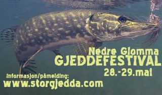 gjeddefestival